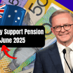 Disability Support Pension June