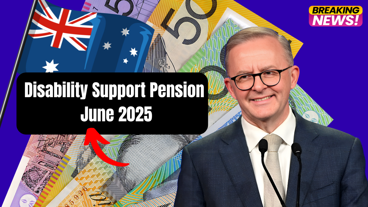 Disability Support Pension June